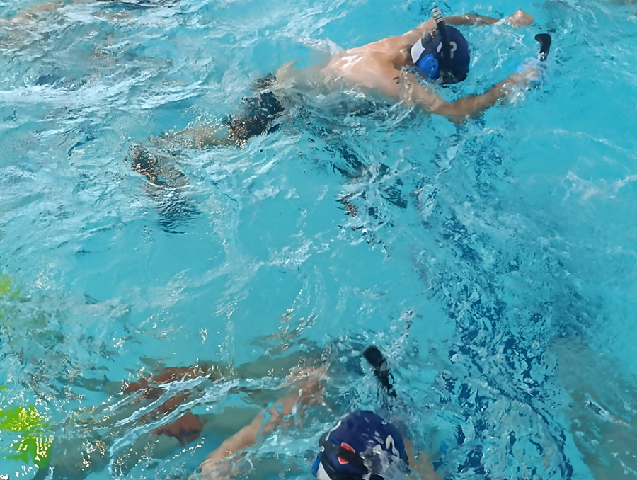 Hokej pod wodą Walenie Czeskie Budziejowice Bud Pig Cup 2026